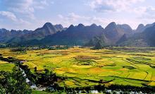 万峰林
