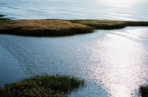 居延海