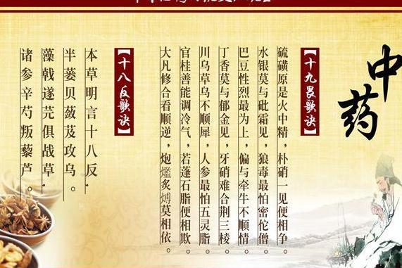 十八反十九畏
