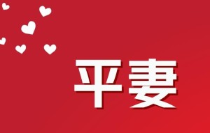 平妻