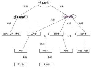 下位学习