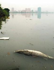 淡水河 搜狗百科