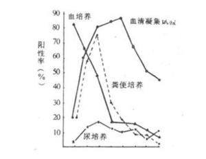 伤寒感菌
