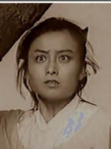 神龙剑侠吕四娘