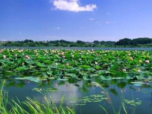 微山湖旅游景区