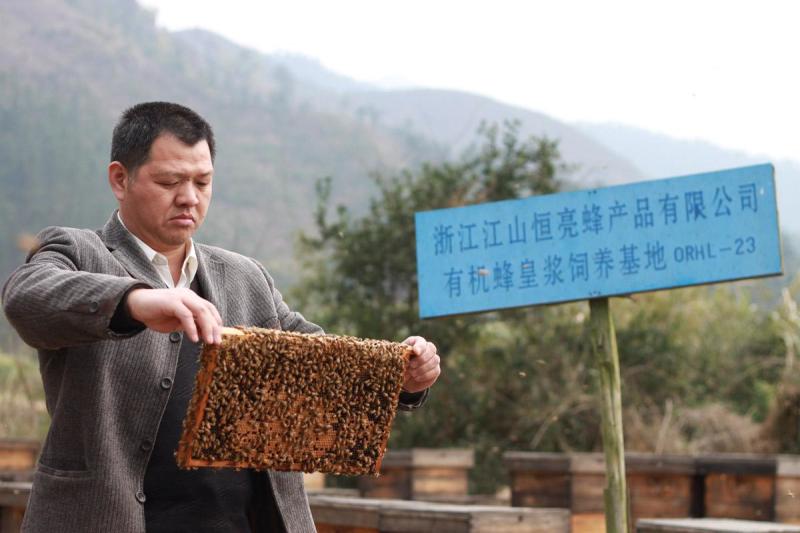 企业老总在养蜂基地