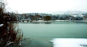 南山公园雪景