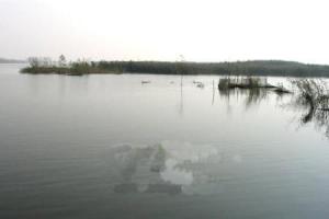 沭河