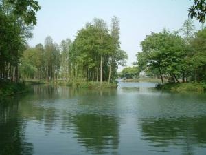 杨公堤