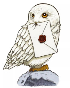 海德薇(3)海德薇(hedwig)是魔幻小说,电影《哈利·波特》系列中的一只