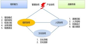 协同效应