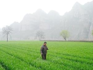 喷洒农药
