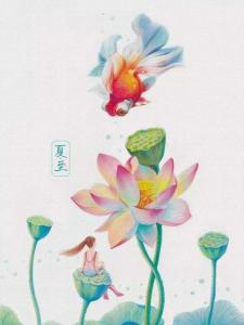 夏至