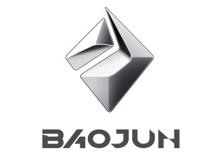 宝骏钻石标LOGO