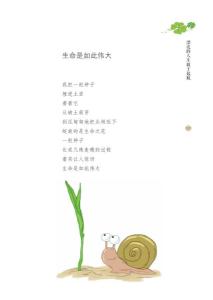 漂亮的人是生敢于起航