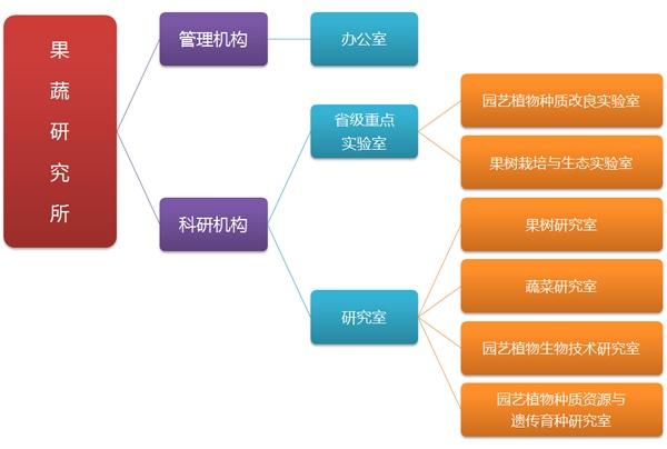 组织结构