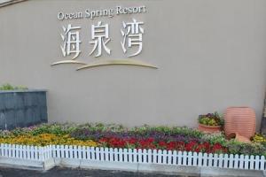 案例样稿