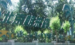 朝来森林公园