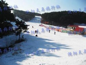 白清寨滑雪场风景