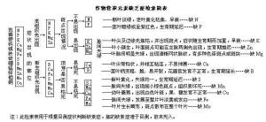 作物营养元素缺乏症检索表