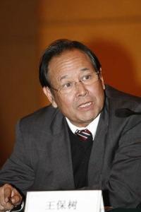 王保树