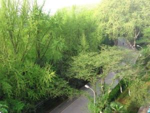 珞珈山景观