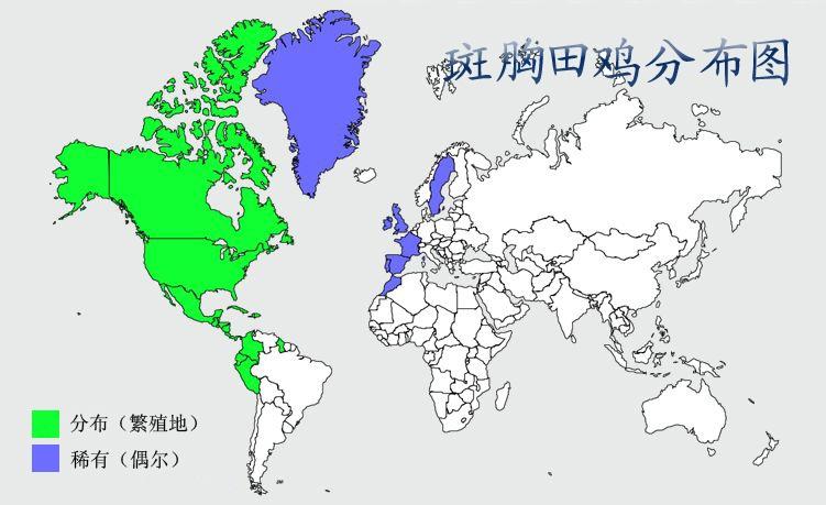 斑胸田鸡分布图