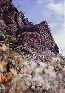 醉石