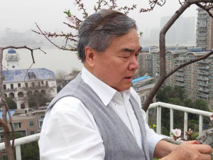 陶宏开