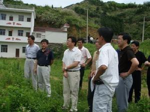 张小青到北浴乡调研新农村建设
