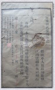 沙湾柳氏族谱