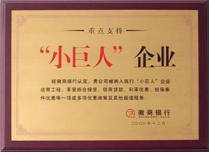 “小巨人”企业