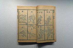 秘传花镜  清刻本