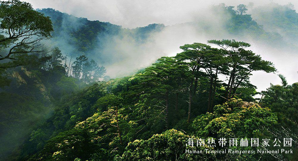 海南热带雨林国家公园