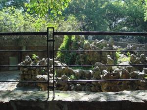 上海动物园动物展区