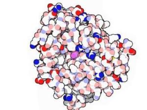 β-内酰胺类抗生素