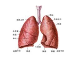 肺泡蛋白沉积症