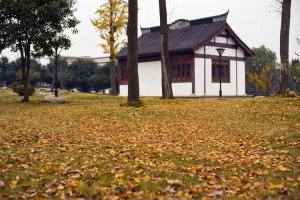 日式风格 横河公园