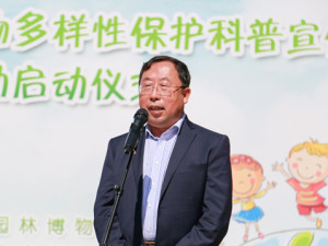 马克平