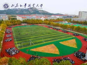山东外事职业大学