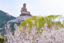 景区风光