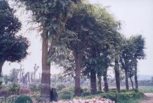 东海农场