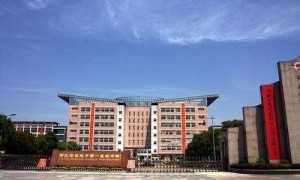 应城市第一高级中学