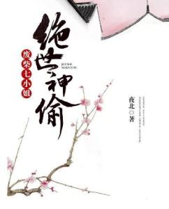 绝世神偷：废柴七小姐