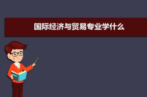 专业