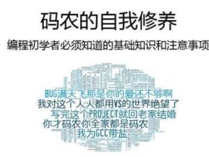 码农