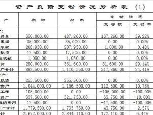 �ʲ���ծ������