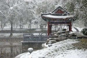 校园冬景