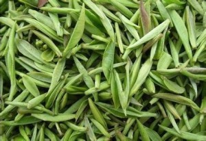 罗山茶