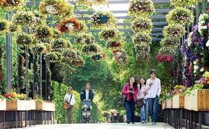 上海植物园